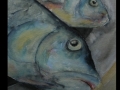 fISCHE 2